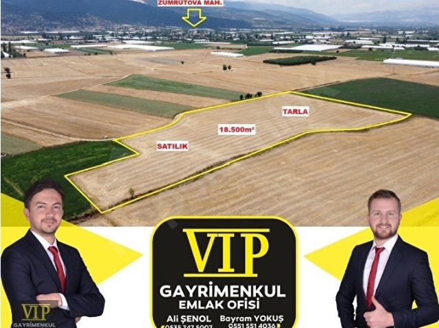VİP GAYRİMENKUL'den ZÜMRÜTOVA MAH. 18.500m TARLA