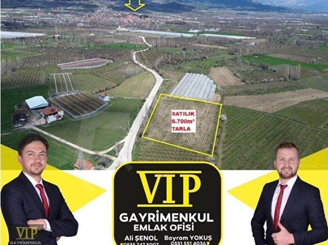 VİP GAYRİMENKUL'den ASFALT YOLA CEPHELİ 6.700m TARLA