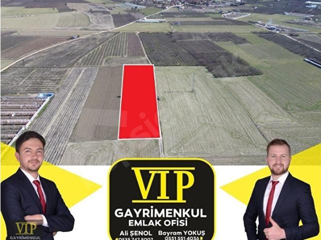 VİP GAYRİMENKUL'den DÜDENKÖY MAH.EN İYİ LOKASYONDA 4.834m TARLA