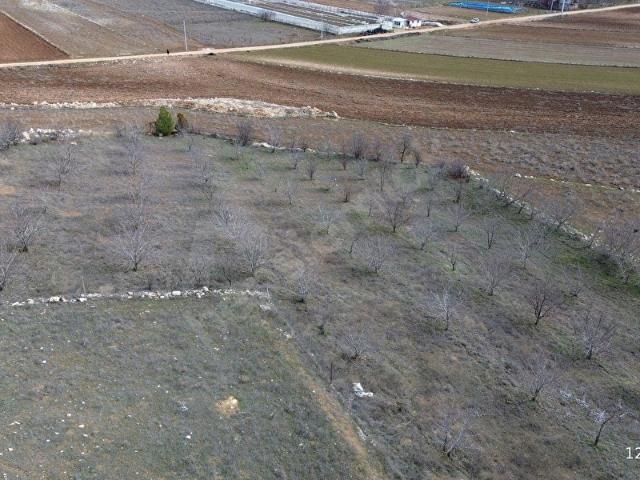 VİP GAYRİMENKUL'den KIŞLA MAH. 4.160m CEVİZ BAHÇESİ