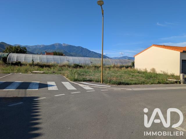 Vinça Vente Terrain 66