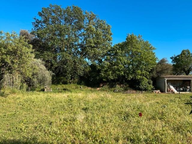 Vinassan Vente Terrain 11