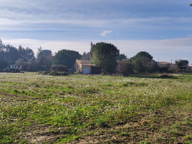 Vinassan Vente Terrain 11