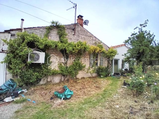 Vinax Vente Maison 17