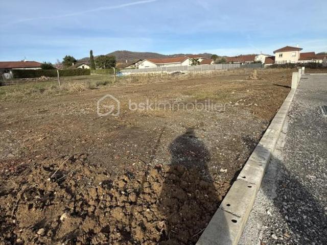 Vinay Vente Terrain 38