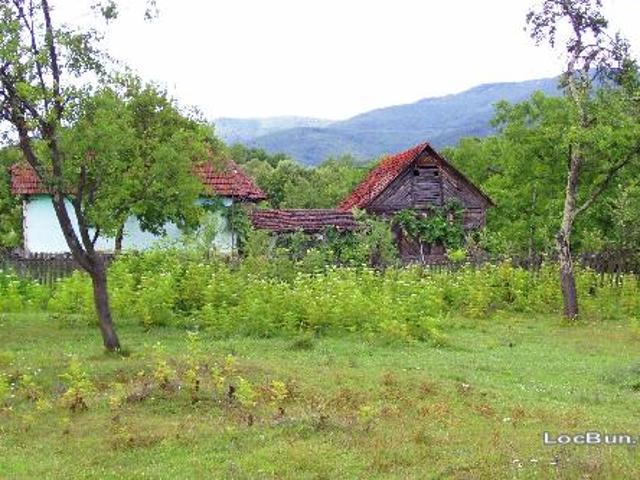 vind casa de vacanta in loc susani, jud.arad