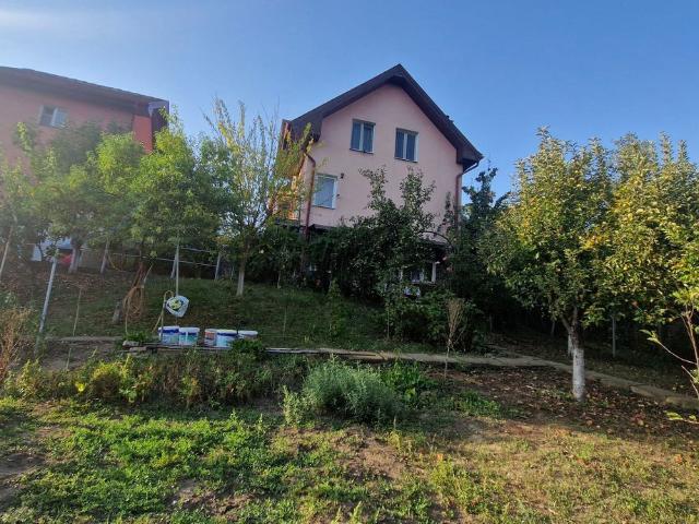 Vindem cada în orașul Targu Mures