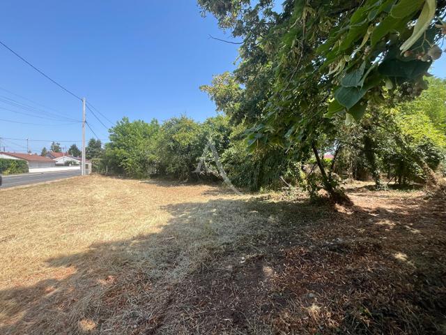 Vineuil Vente Terrain 41