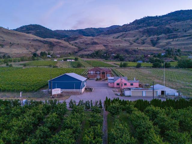 Vineyard
