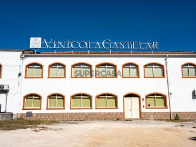 Vinícola em Avelãs de Caminho, Anadia