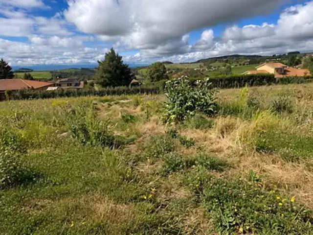 Violay 42780 Programme neuf terrain neuf à vendre