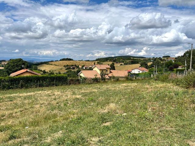 Violay Vente Terrain 42