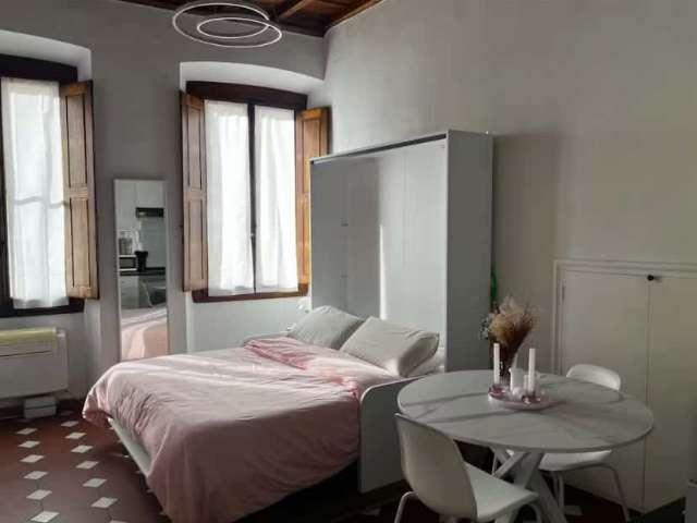 Monolocale in affitto a Santa Croce, Firenze