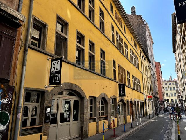 VIAGER OCCUPE SANS RENTE Appartement Lyon 01
