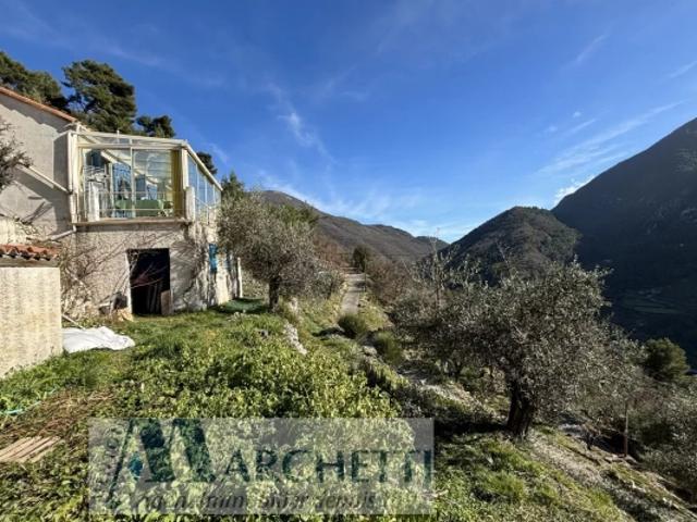 VIAGER LIBRE à PEILLE MAISON TERRAIN 12.148m2 possibilité vente en pleine propriété