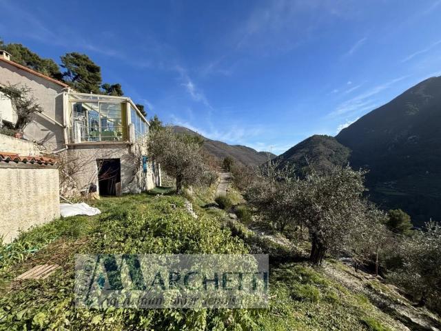 VIAGER LIBRE à PEILLE MAISON TERRAIN