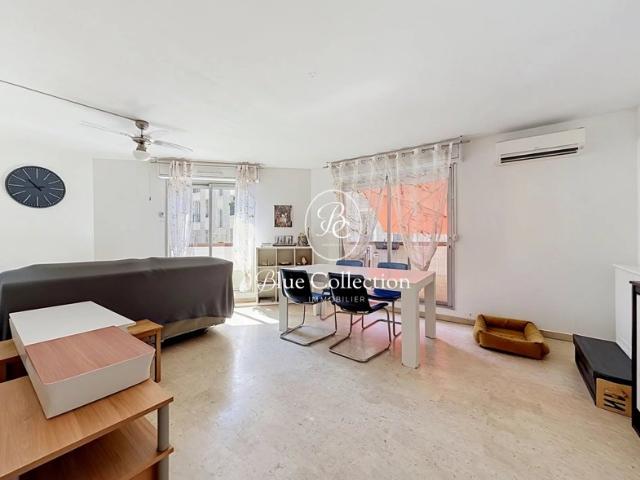 VIAGER SANS RENTE NICE CESSOLE