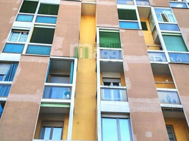 Viale Molise, Milano, Lombardy 20137