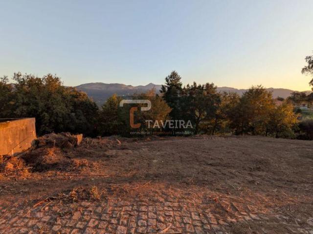 Viana do Castelo Arcos de Valdevez 4970 LS98316224