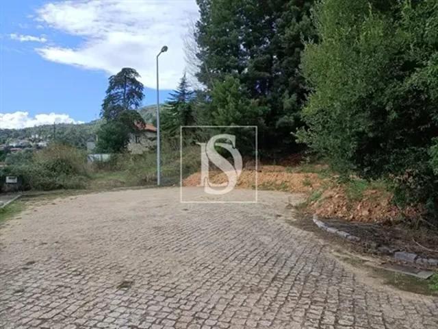 Viana do Castelo Caminha 103540472