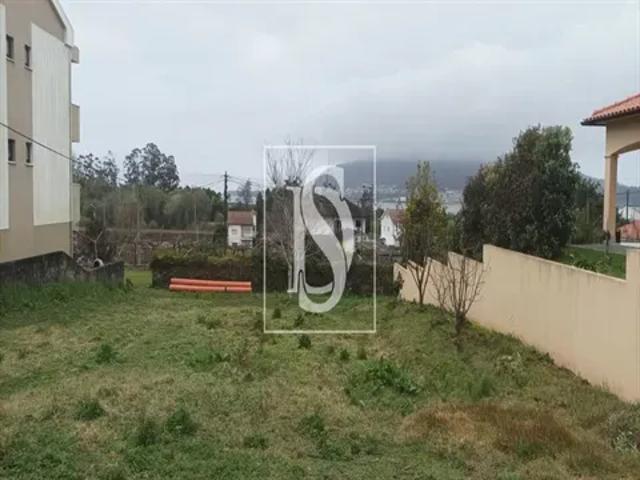 Viana do Castelo Caminha 103553915