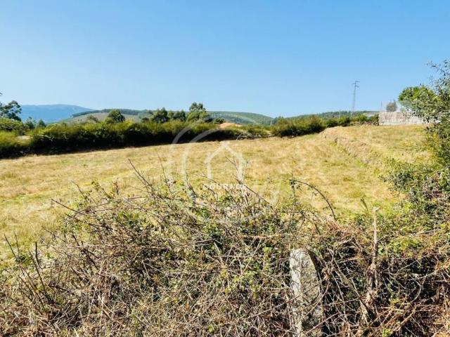 Viana do Castelo Paredes de Coura 4940 99825825