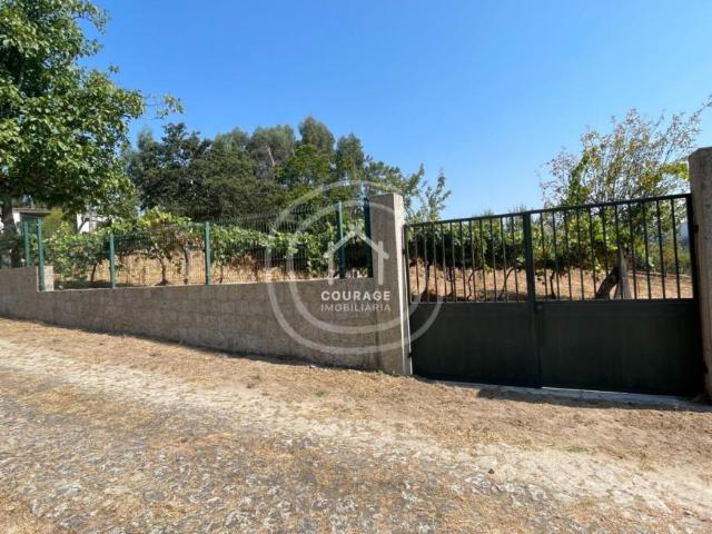 Viana do Castelo Paredes de Coura 4940 103611646