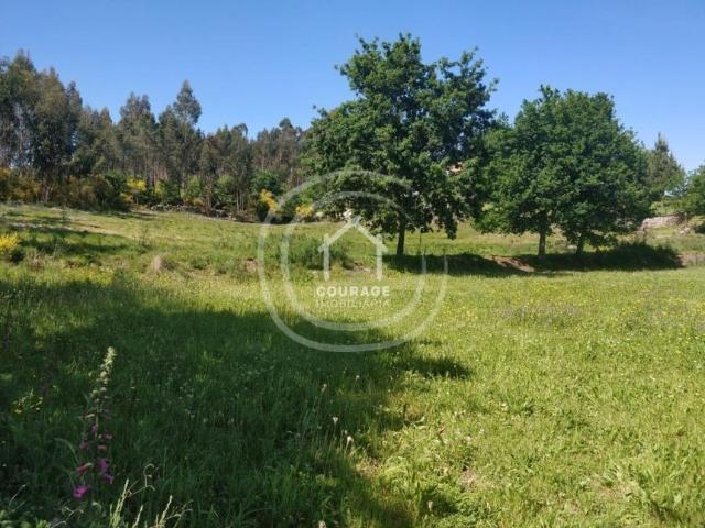 Viana do Castelo Paredes de Coura 4940 104824793