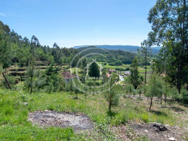 Viana do Castelo Paredes de Coura 4940 104824794