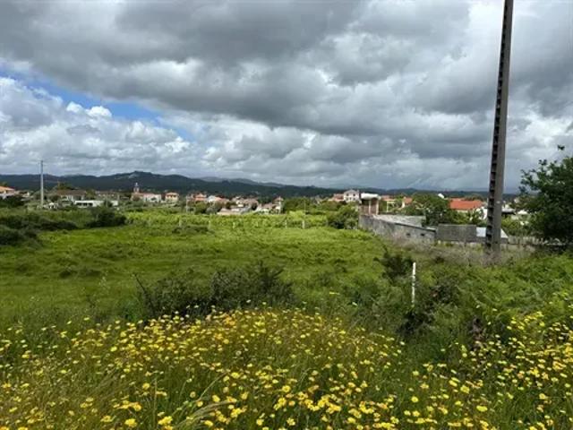 Viana do Castelo Valença 103540983