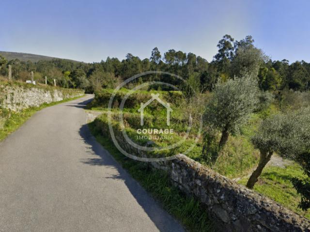 Viana do Castelo Valença 4930 102394969