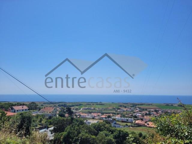 Viana do Castelo Viana do Castelo 104074388
