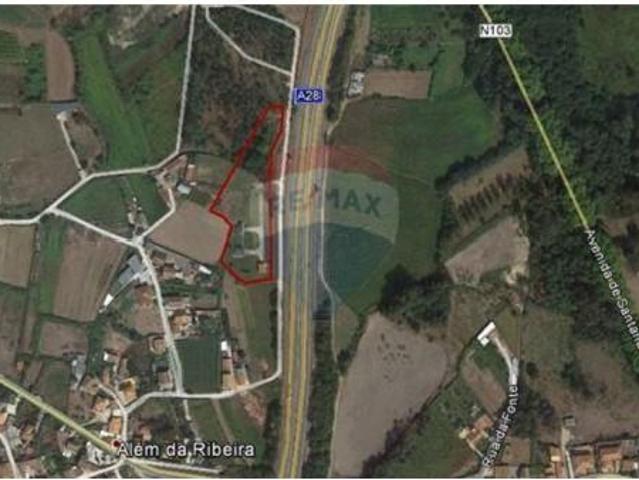 Viana do Castelo Viana do Castelo 103744540