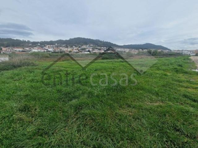 Viana do Castelo Viana do Castelo 90743648