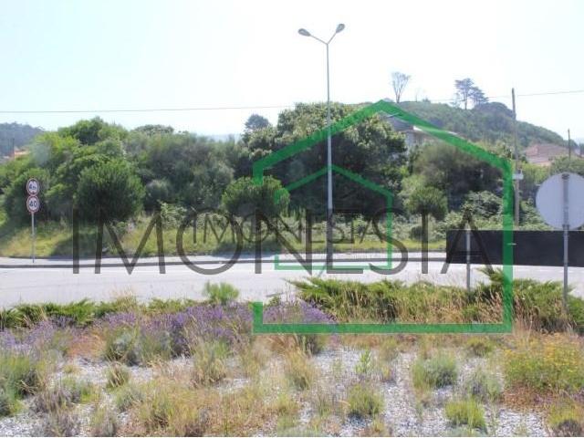 Viana do Castelo Viana do Castelo 96468928