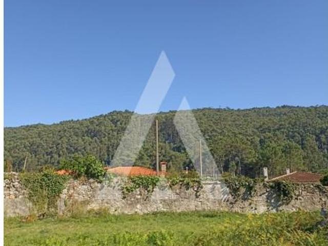 Viana do Castelo Viana do Castelo 96714473