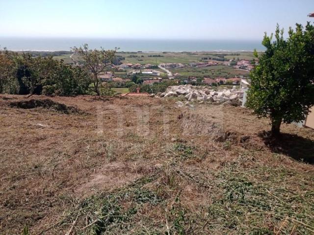 Viana do Castelo Viana do Castelo 97120681