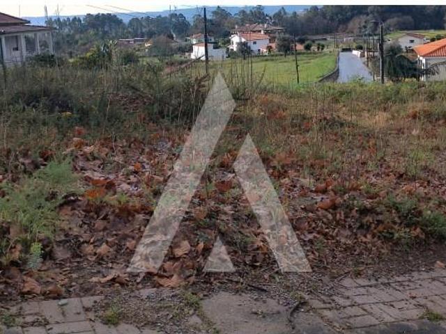 Viana do Castelo Viana do Castelo 98678468