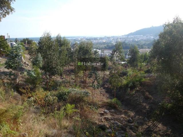 Viana do Castelo Viana do Castelo LS97485688