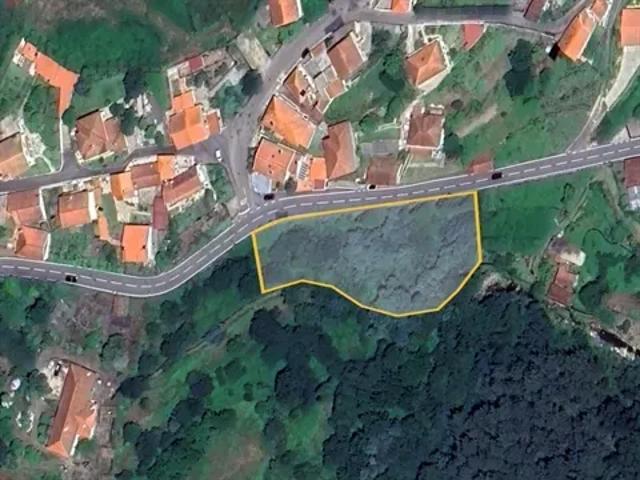 Viana do Castelo Vila Nova de Cerveira 103540481