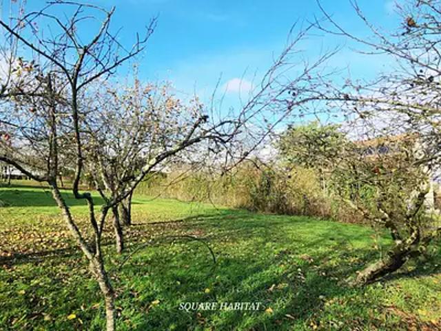 Vibraye 72320 Achat / Vente terrain