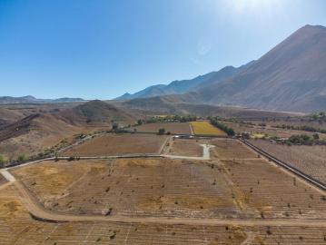 Vicuña, Cerros de Mamalluca