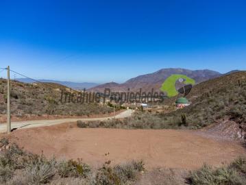 Vicuña, La calera