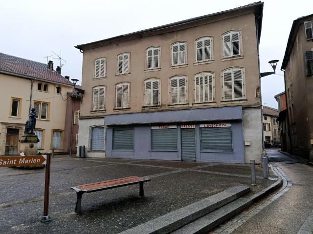 Vic sur Seille Vente Immeuble 57