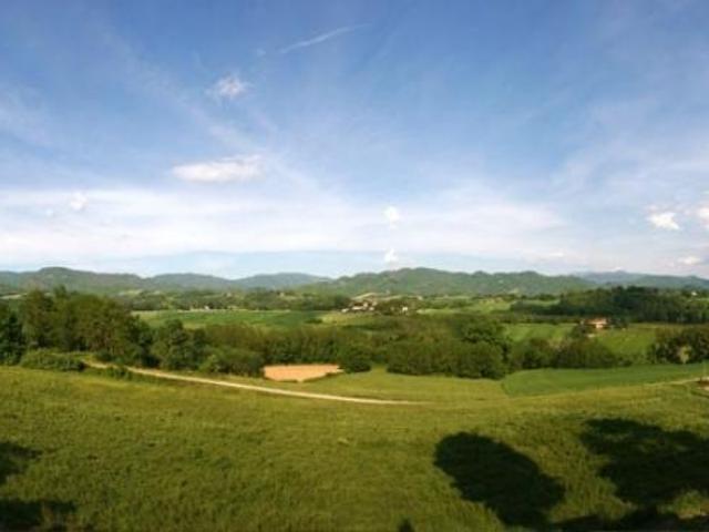 VICCHIO Preziosa azienda agricola perfettamente avviata e produttiva