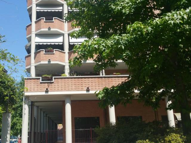 vicinissimo 10 min Campus Einaudi camera in affitto