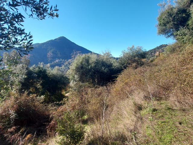 Vico Vente Terrain 20
