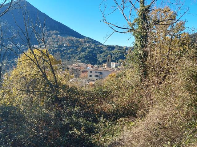 Vico Vente Terrain 20
