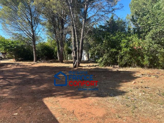 Vidauban Vente Terrain 83