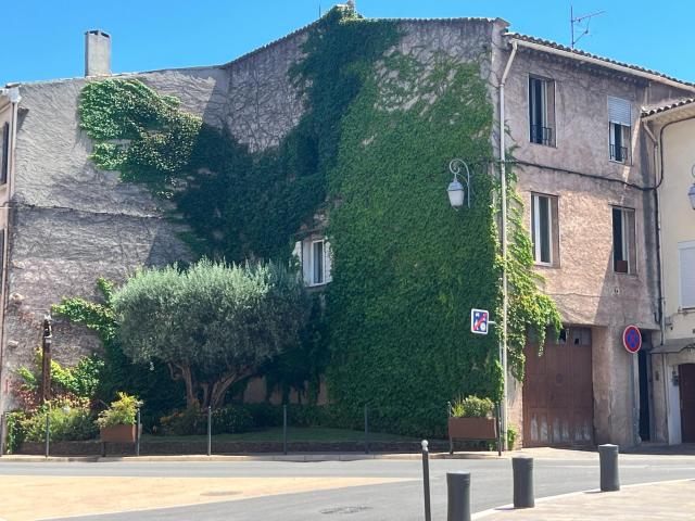 Vidauban Vente Immeuble 83